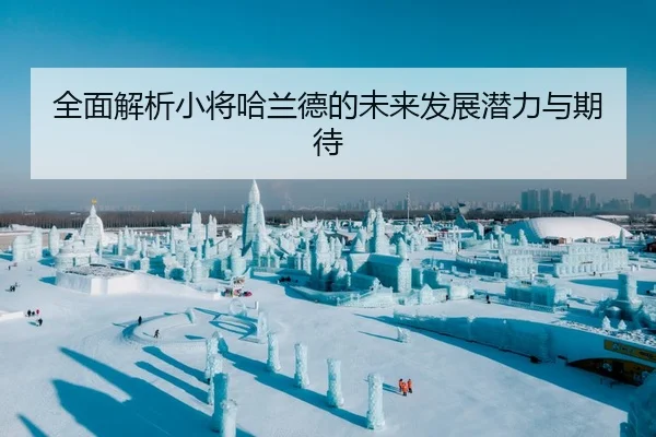 全面解析小将哈兰德的未来发展潜力与期待