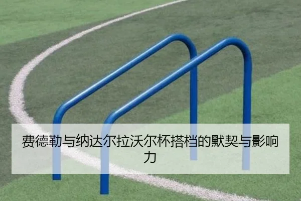 费德勒与纳达尔拉沃尔杯搭档的默契与影响力